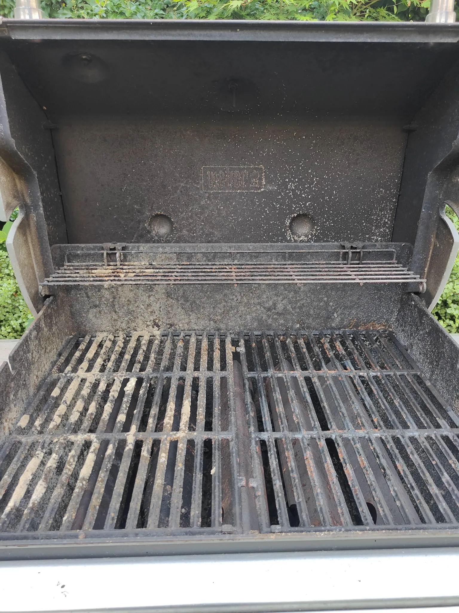 bbq cleaning service in Fleet